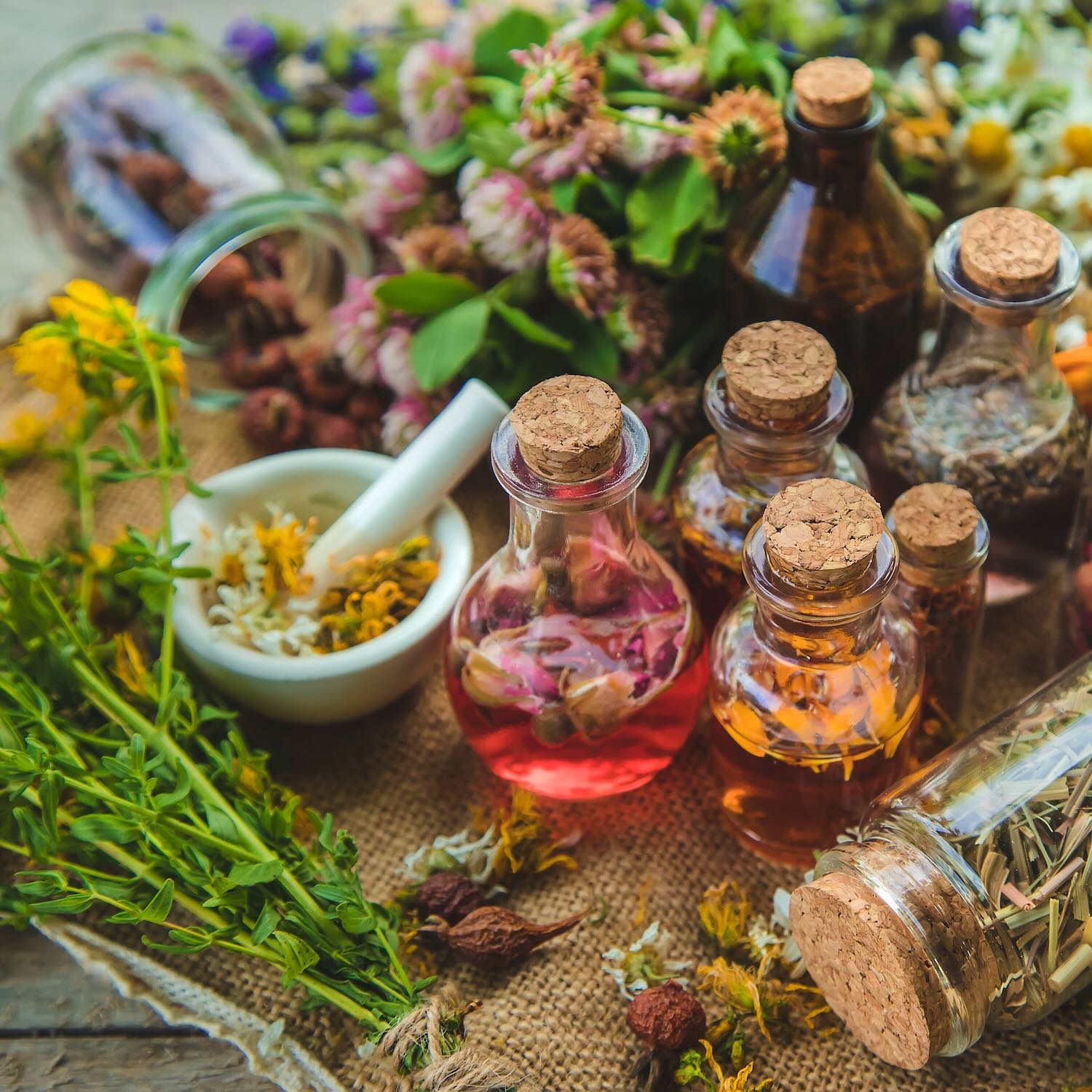 Phytothérapie, compléments alimentaires, Pharmacie D'Abraham, Sens, Saint-Clément